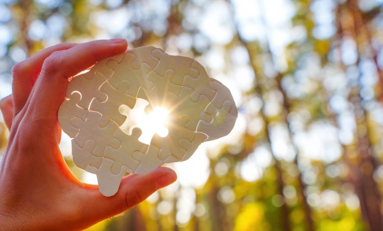 Hand holding a puzzle piece shaped like a brain, sunlight shining through in a forest setting.