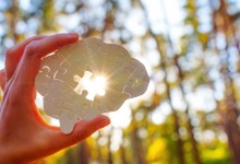 Hand holding a puzzle piece shaped like a brain, sunlight shining through in a forest setting.